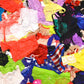 Six Assorted Thongs for Every Day Wear