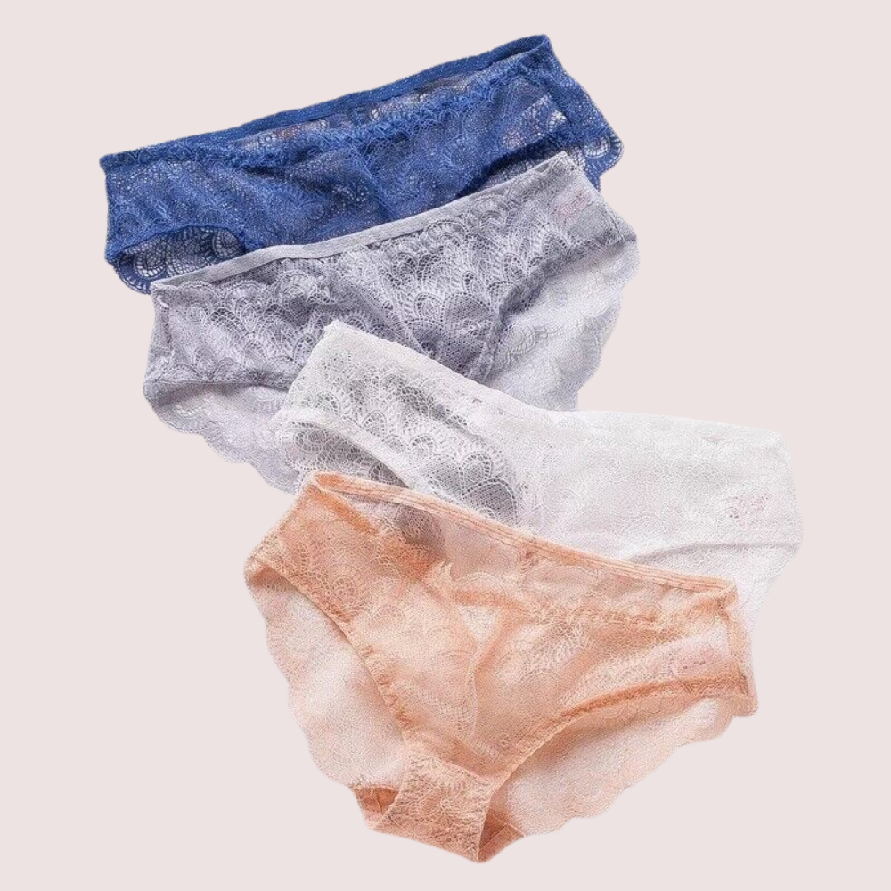 Sexy Sheer Lace Bikini Brief Undies Pack (of 4)